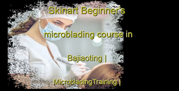 Skinart Beginner's microblading course in Bajiaoting | MicrobladingTraining | MicrobladingClasses | SkinartTraining-Taiwan Province of China
